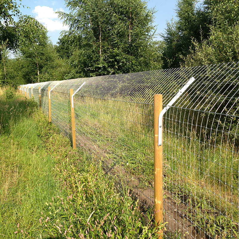 Otter_fencing_gallery_1
