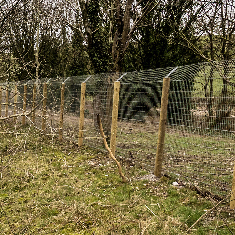 Otter_fencing_gallery_3